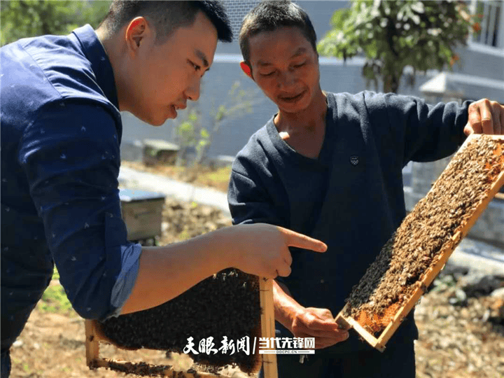 【我的扶貧故事】“草鞋書記”帶貨勇闖上海灘 | 新蒲新區(qū)蝦子鎮(zhèn)南坪村駐村第一書記席波